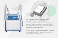 Домашняя машина EMS Cryolipolysis жирная замерзая для уменьшения целлюлита