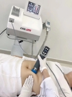 Портативная машина машины Cryolipolysis жирная замерзая + терапии ударной волны уменьшая тело Китай