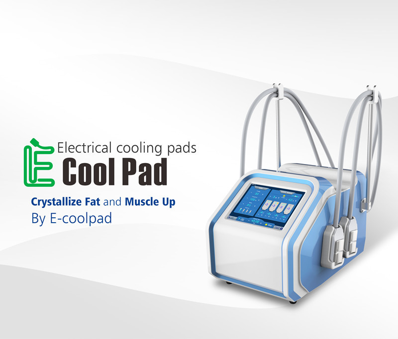 Машина Protable Cryolipolysis жирная замерзая для тела Cryo уменьшая домашнюю пользу