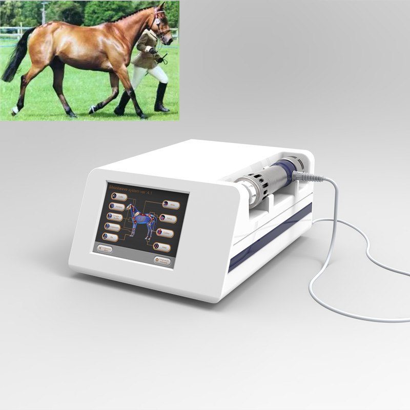 Equine машина терапией ударной волны 1Hz для лошадей