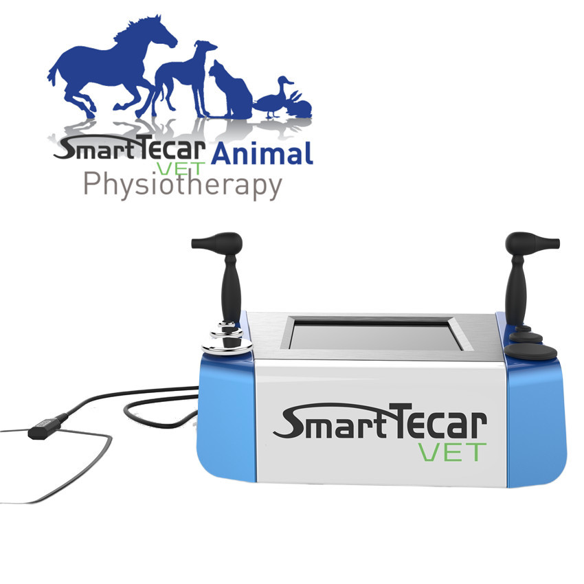 Портативная ветеринарная машина терапией Tecar физиотерапии для облегчения боли котов собак лошади любимца